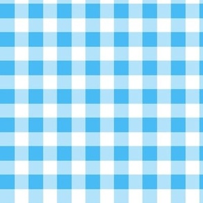 blue  and white gingham, check, plaid,  large scale