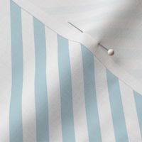 Diagonal Stripe Blue