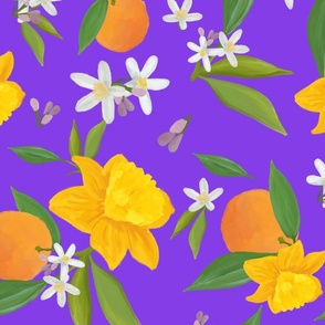 Citrus Daffodils purple