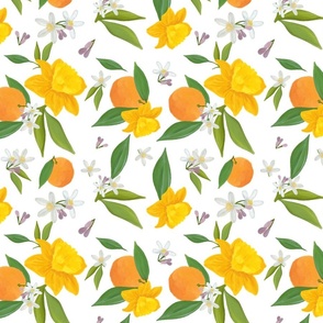 Citrus Daffodils