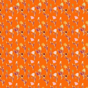 tulip.orange-01