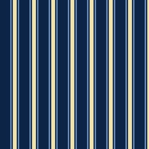 Yellow and Light Blue Ticking Stripe on Blue