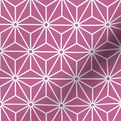 20 Geometric Stars- Japanese Hemp Leaves- Asanoha- White on Peony Pink Background- Petal Solids Coordinate- Small