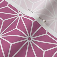 20 Geometric Stars- Japanese Hemp Leaves- Asanoha- White on Peony Pink Background- Petal Solids Coordinate- Small