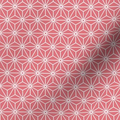 23 Geometric Stars- Japanese Hemp Leaves- Asanoha- White on Watermelon Background- Petal Solids Coordinate- sMini