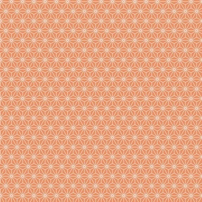 25 Geometric Stars- Japanese Hemp Leaves- Asanoha- White onl Peach- Soft Orange Background- Petal Solids Coordinate- sMini