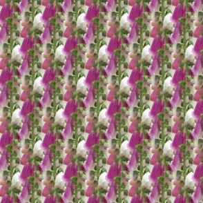 Foxglove