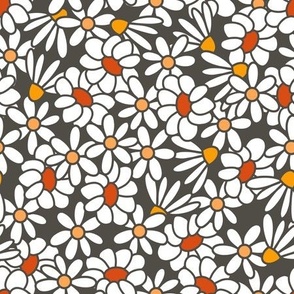Daisy White Flowers on Black Background Pattern