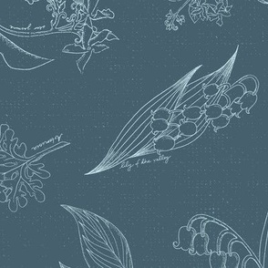 garden sketches indigo botanical