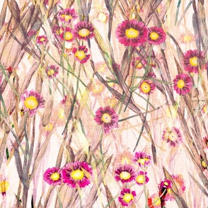 daisies linen pink