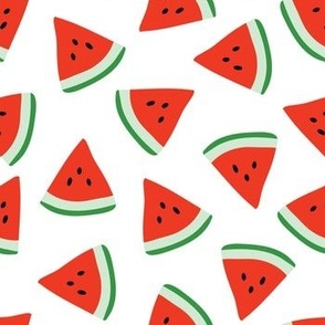 Juicy watermelons pieces on white