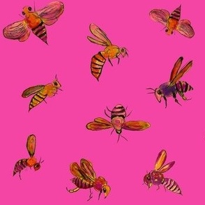 Bright Wasps // Magenta 