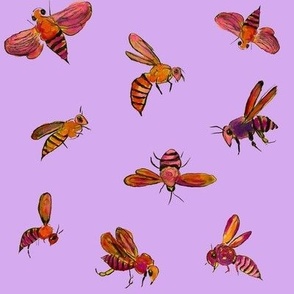 Bright Wasps // Lavander