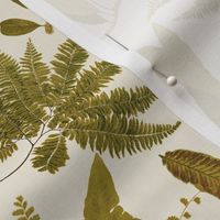 Antiqued scientific hand painted fern illustrations tanned sepia 