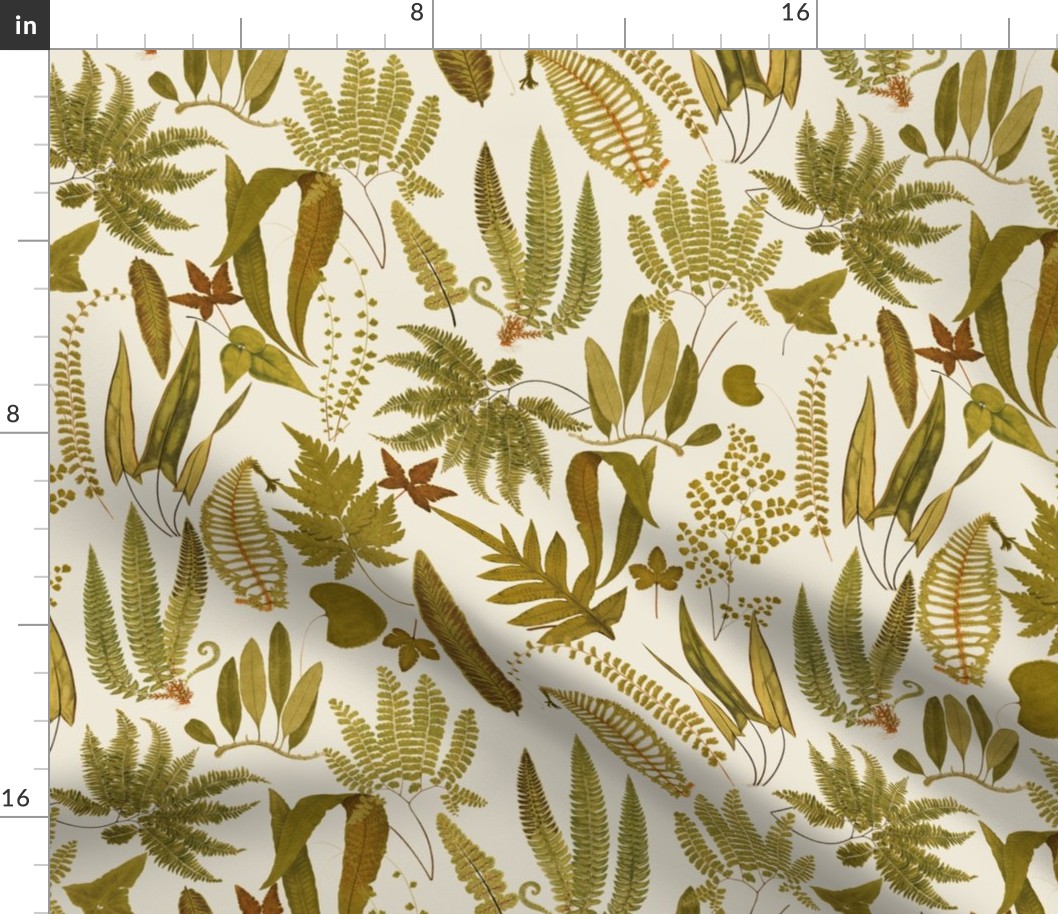 Antiqued scientific hand painted fern illustrations tanned sepia 