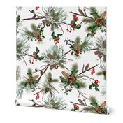 Christmas Holiday Botanical Evergreen Holly Pine Cones Red Green White