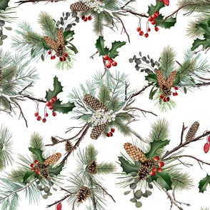 Christmas Holiday Botanical Evergreen Holly Pine Cones Red Green White