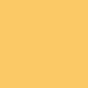 Warm Tropical Yellow Solid #FBC966