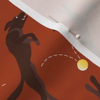 Dark Chocolate Labrador Retriever Leaping for a Ball