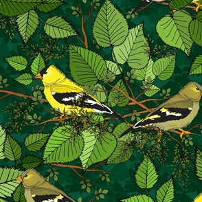 Goldfinch Forest (large scale) 