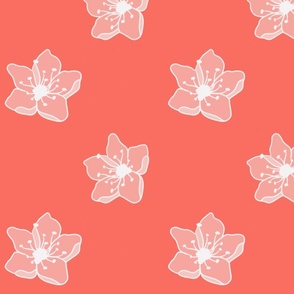Transparent Flowers on Hot Pink Background 