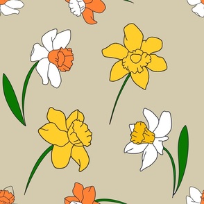 Yellow and Orange Daffodils on Beige Background 