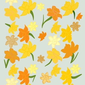 Yellow and Orange Daffodils on Pale Gray Background 