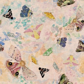 Large scale British native moths in pastel colors on a cream background with a vintage linen texture