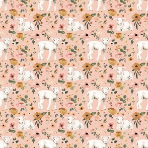 Pink Floral Lambs 6 inch