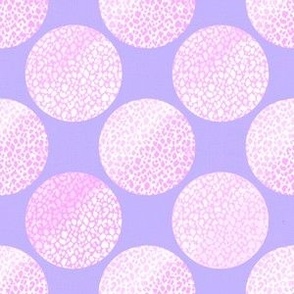 Pelican feet  ombré texture polka dots on lavender background with pink polka dots