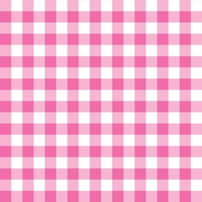 Hot Pink Gingham Plaid 12 inch