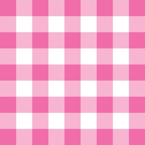 Hot Pink Gingham Plaid  24 inch