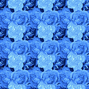 roses are blue-3x