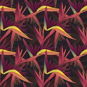 Bird of Paradise Flowers in Claret, Coral, and Yellow - Textured