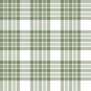 Tartan Plaid Sage Green