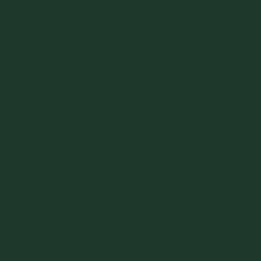 Harris Green VC-21 1c382d Solid Color Benjamin Moore Vancouver Colours