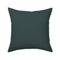 Pendrell Green VC-18 3b4e4b Solid Color Benjamin Moore Vancouver Colours