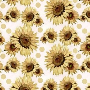 Sunflower Blooms on White
