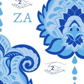 Zeta Amicae paisley print