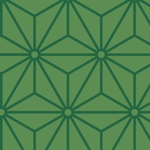 37 Geometric Stars- Japanese Hemp Leaves- Asanoha- Emerald Green on Kelly Green Background- Petal Solids Coordinate- 38- Extra Large