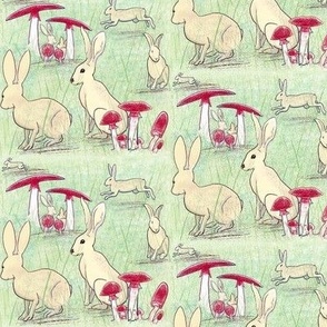 Year of Lucky Rabbits