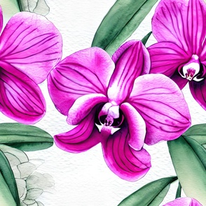 1119 jumbo - Watercolor Orchids