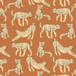 Cheetahs