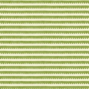 Scallop stripe - green