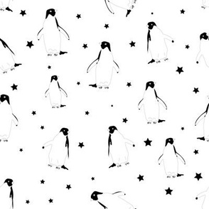 penguins and stars. Sea bird 1 8x8