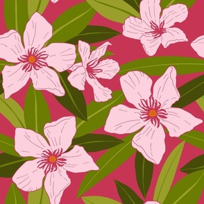 Oleander Flowers on bright pink large scale