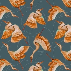 Chasing Herons | Orange and Bluish Grey color palette