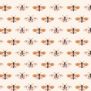 tiny moth boho winged insects cute moths nature night animals in beige tan pink