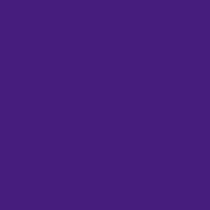 Louisiana State colors - Solid Color Coordinate - Purple