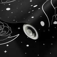 White Rose in the Moon and Stars